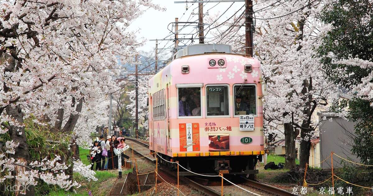 Japan for you ukraine